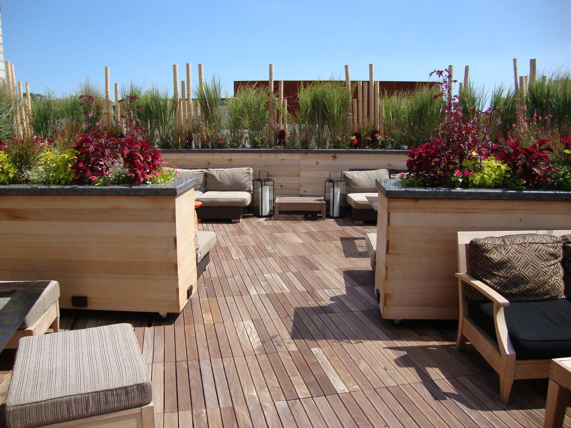 Sunny Rooftop Deck with Plants