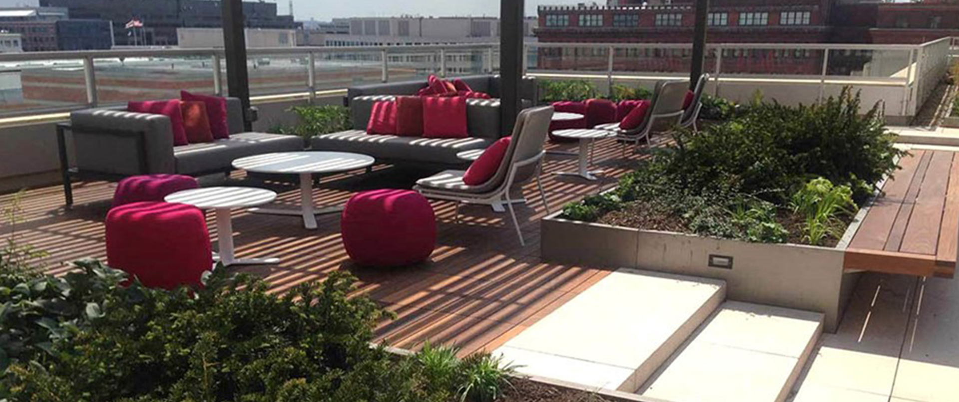 Green Rooftop with Planters Green Rooftop with Planters