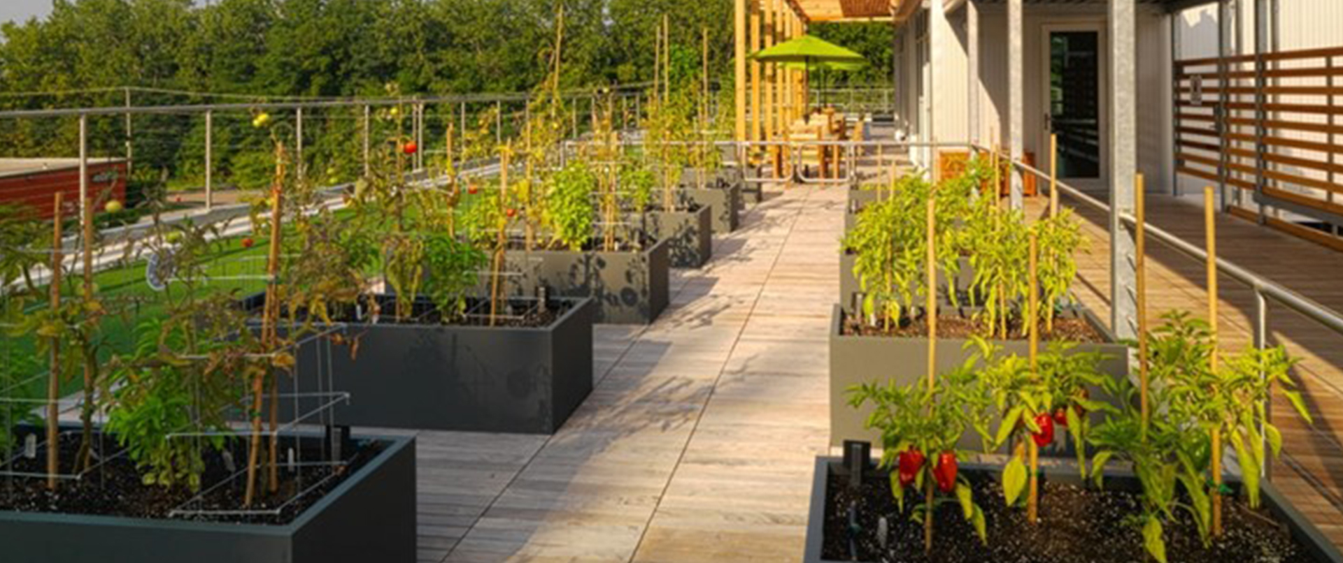 Rooftop Deck with Garden